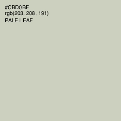 #CBD0BF - Pale Leaf Color Image